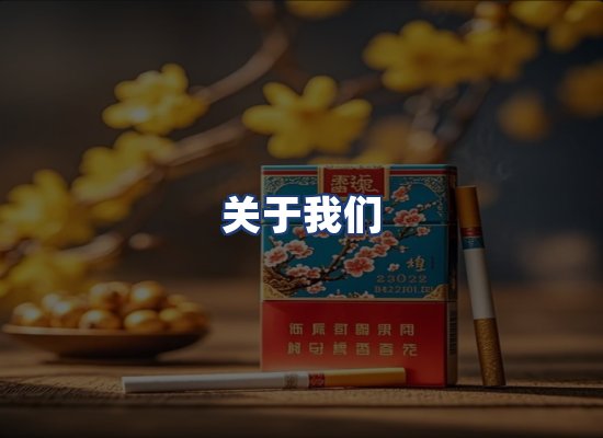 关于我们